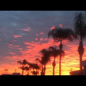 Meet your Posher, Colleen